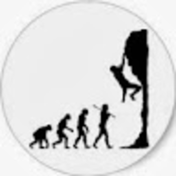 Meet your Posher, Chloe - Picture 1 of 1